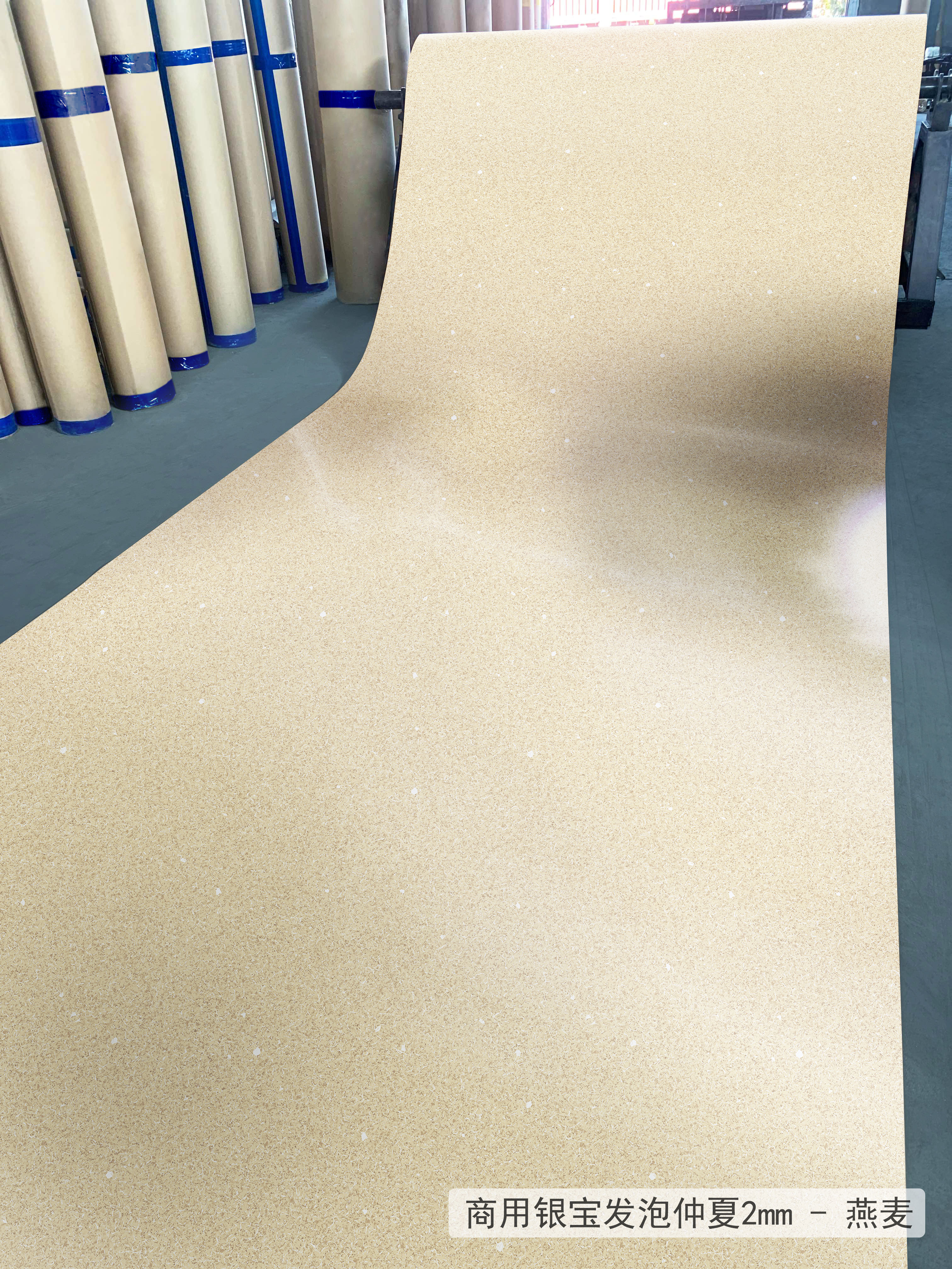 Kitchen Plastic Flooring