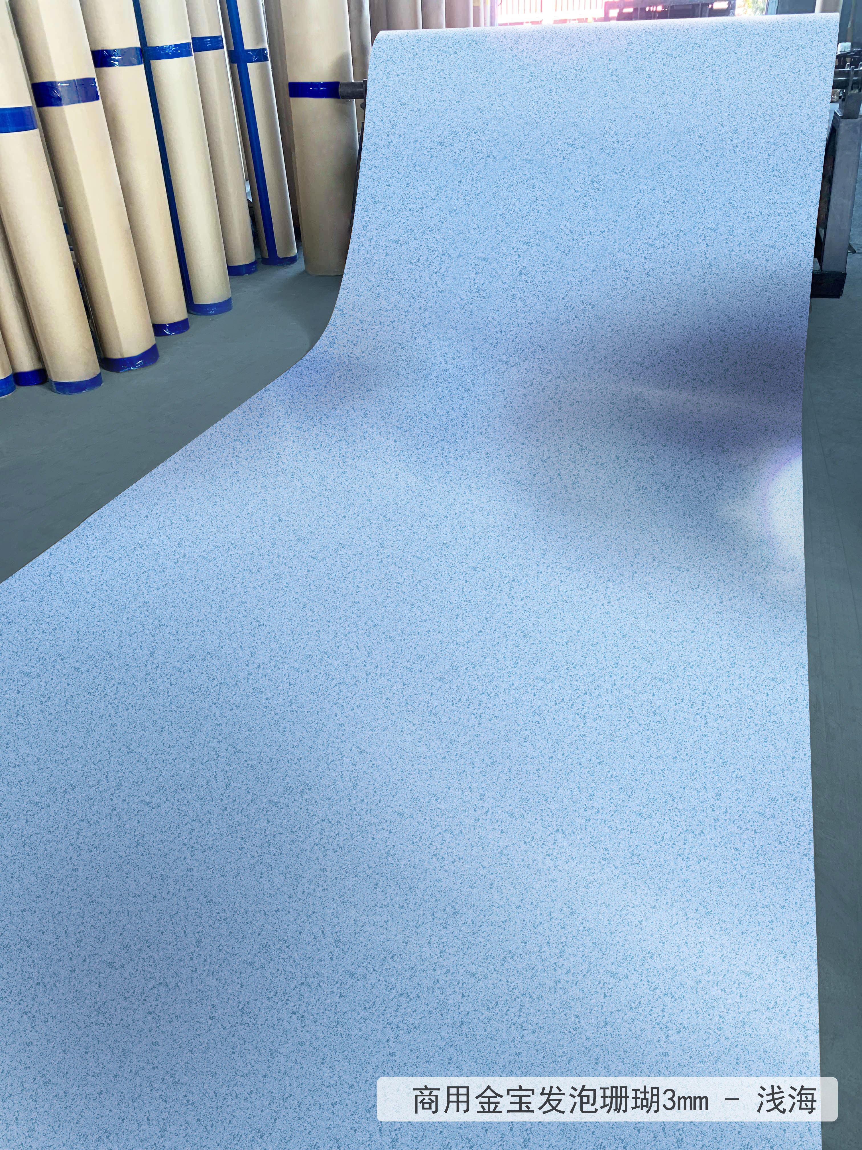Plastic Carpet floor Mat Roll