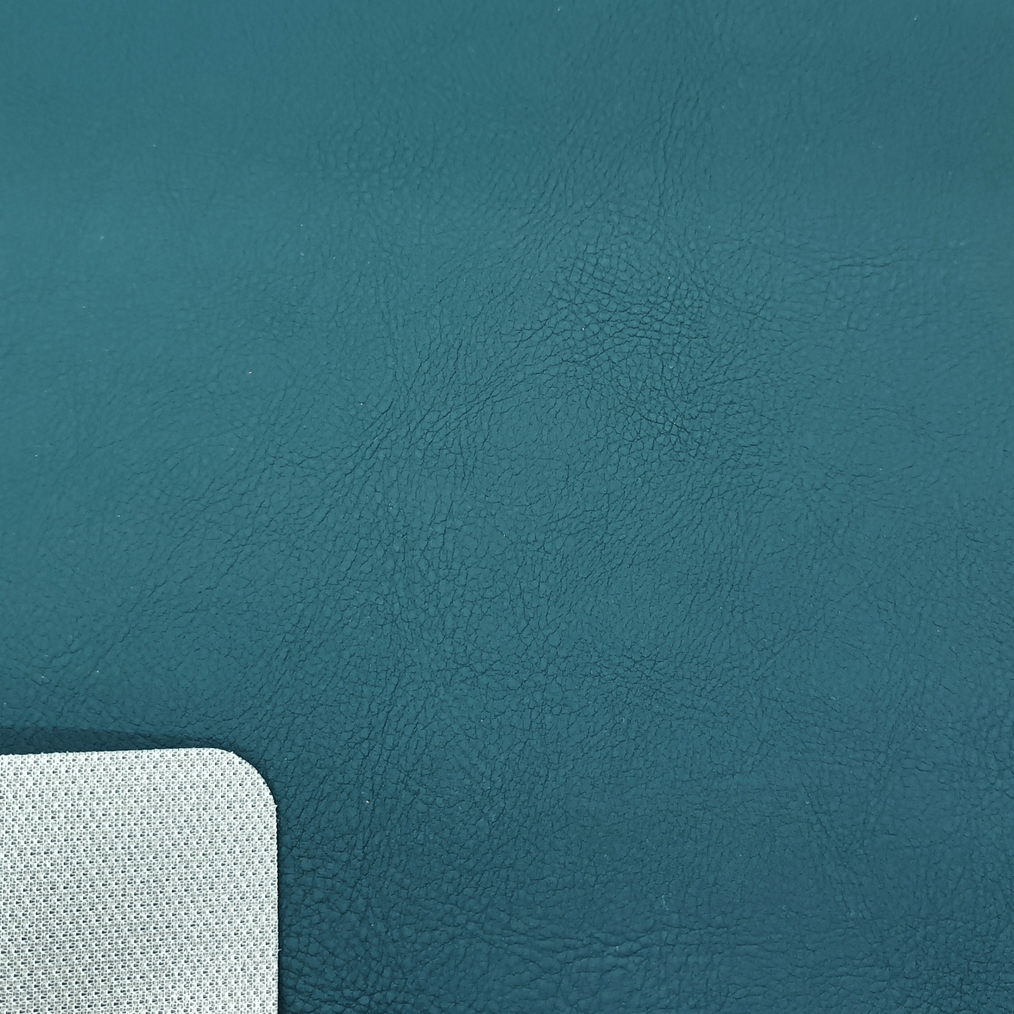 Automotive interior leather