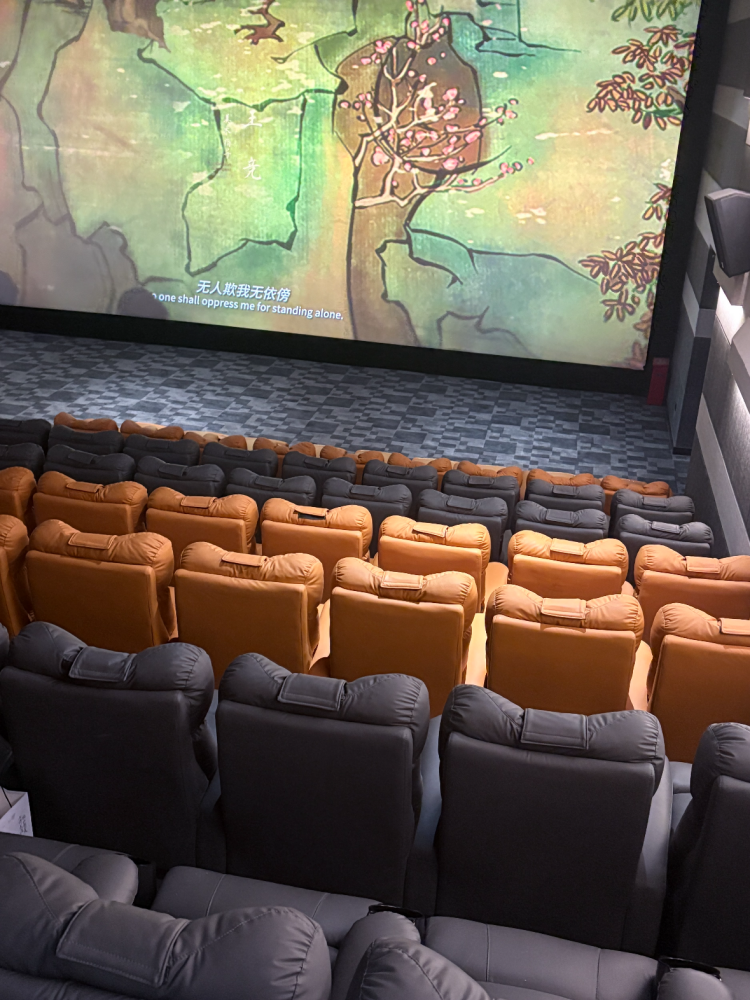 silicone Leather (2)